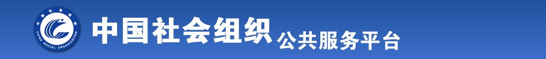 亚洲操B全国社会组织信息查询